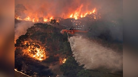 Australia bushfires: New estimate suggests one billion animals have perished nationwide