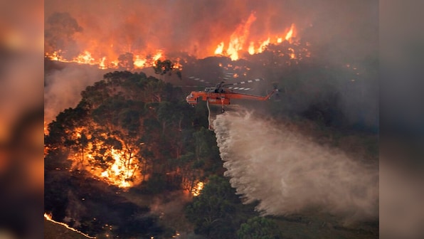 Australia bushfires: New estimate suggests one billion animals have perished nationwide
