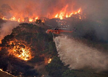 Australia bushfires: New estimate suggests one billion animals have perished nationwide