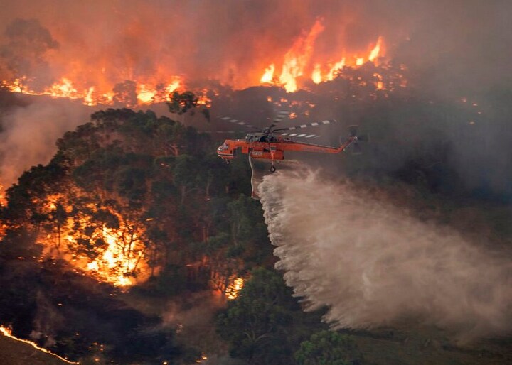 Australia bushfires: New estimate suggests one billion animals have perished nationwide