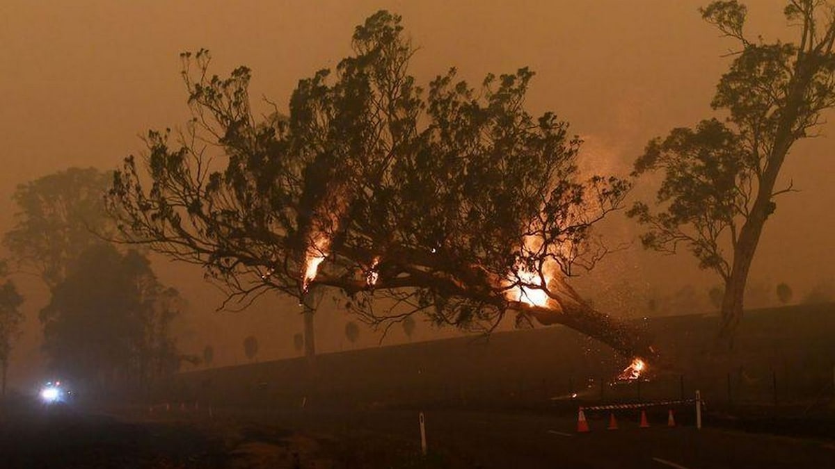 Fires Near Me App, that gives live updates about Australian bushfires, is now up for sale