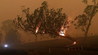 Fires Near Me App, that gives live updates about Australian bushfires, is now up for sale