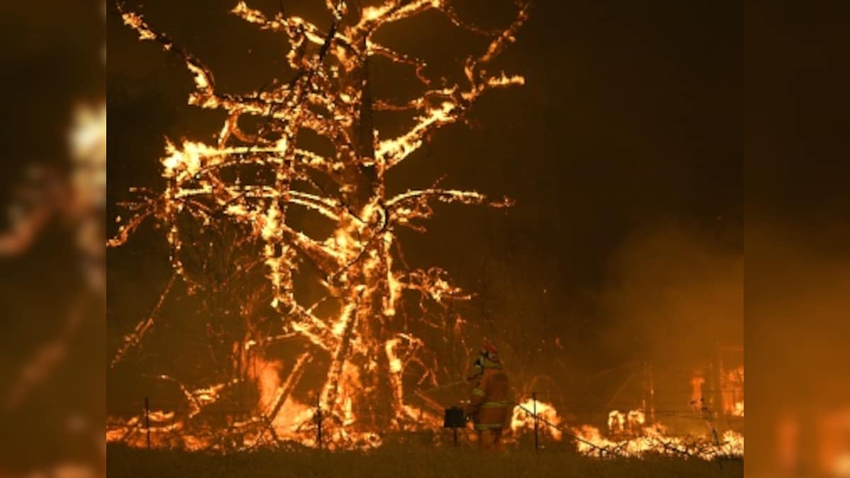 Australia vs New Zealand: Cricketers turn attention to deadly wildfires ahead of third Test in Sydney