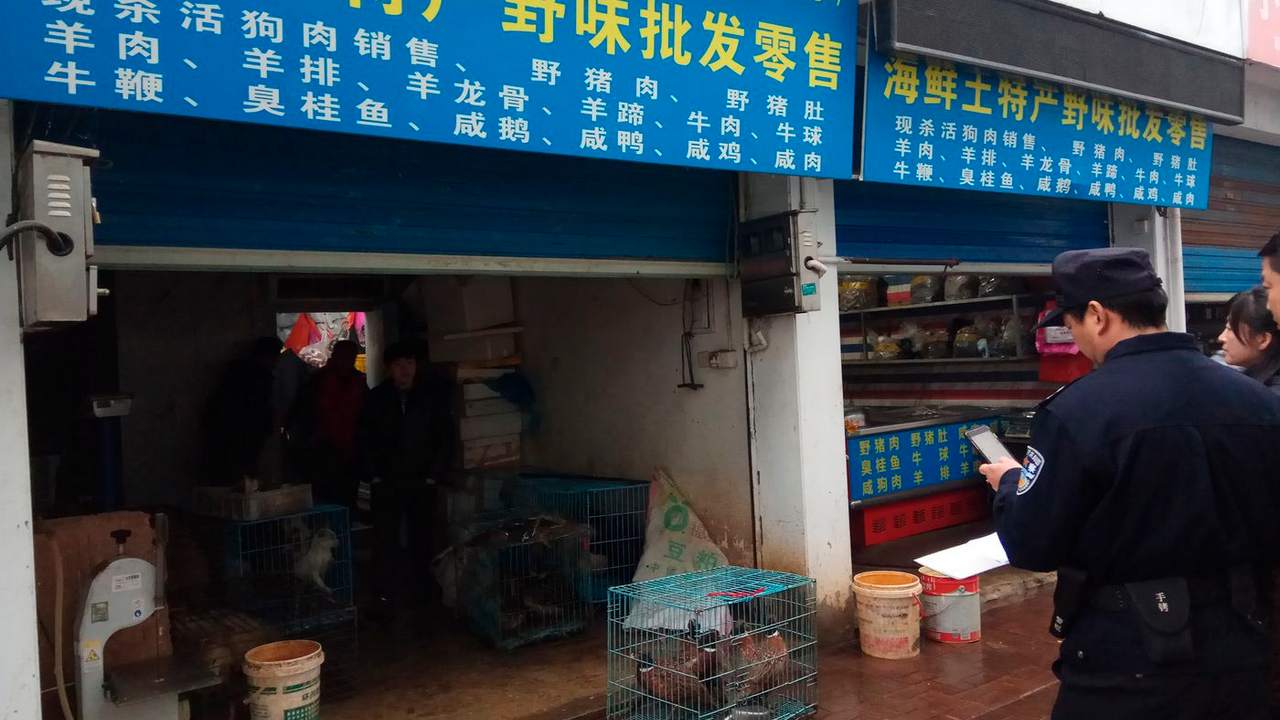 The Anti-Poaching Special Squad, police gather outside a store suspected of trafficking wildlife. Image credit: AP