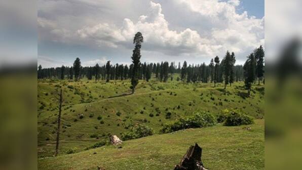 Infrastructure projects, growing demand for housing, poor oversight have rapidly depleted forest cover in Kashmir