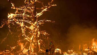 Health warning in Melbourne, air quality down to 'hazardous' due to Australia's bushfires