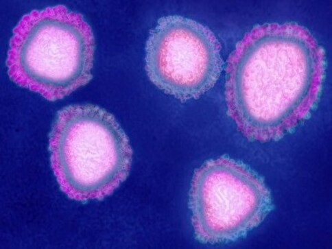 Coronavirus outbreak: Indians stranded in Italy send SOS calls as they fail to procure mandatory certificate declaring them COVID-19-free Coronavirus outbreak: Indians stranded in Italy send SOS calls as they fail to procure mandatory certificate declaring them COVID-19-free