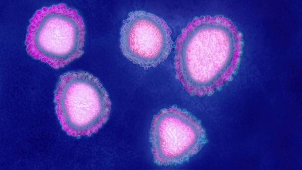 Coronavirus outbreak: Indians stranded in Italy send SOS calls as they fail to procure mandatory certificate declaring them COVID-19-free