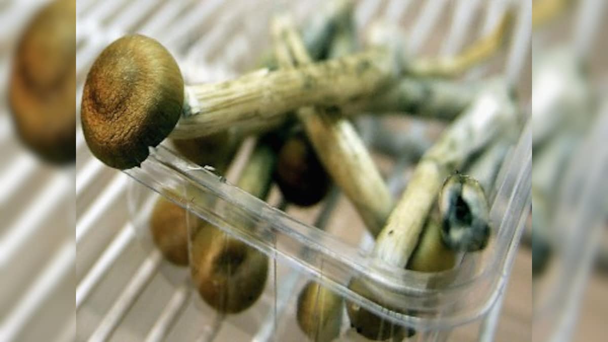 Magic mushrooms and ecstasy help to treat PTSD in clinical trials