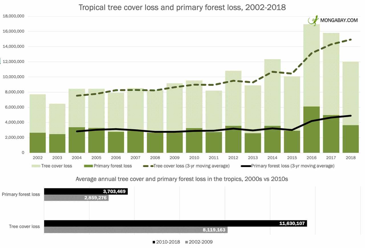 Loss in global tropical forest cover over 2010s vs 2000s. Image: Hansen et. al. (2019)/Global Forest Watch (data)/Mongabay