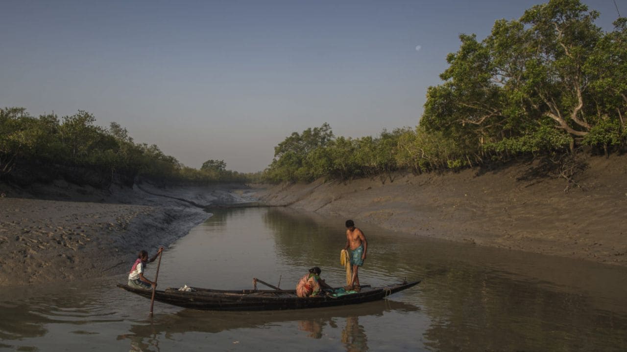 Villagers fish in a river by the Sundarbans tiger reserve. It’s an increasingly dangerous activity as they are at risk of being attacked by tigers. Image: Jonas Gratzer/Mongabay