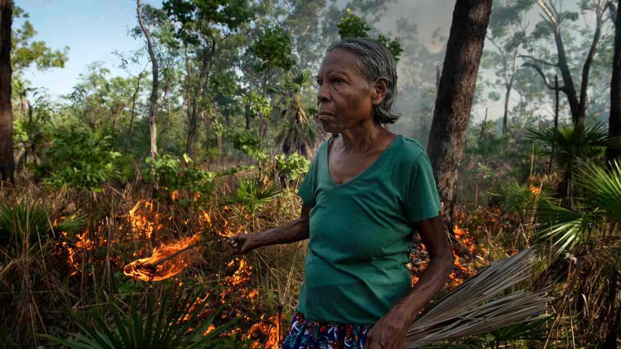 Violet Lawson uses dry palm fronds to ignite and clear undergrowth that could fuel an uncontrolled, more destructive fire, near Cooinda, in Australia's Northern Territory, 15 January 2020. Indigenous fire-prevention techniques that have sharply cut destructive bushfires in Australia are drawing new attention. Image: Matthew Abbott/NYT