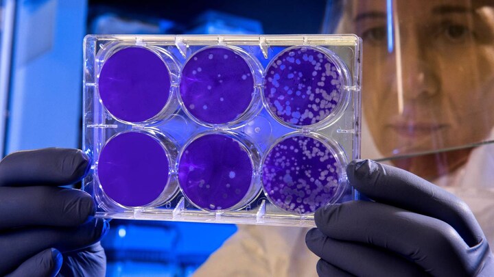 Indian school teacher is the first foreigner to be infected with Coronavirus in China