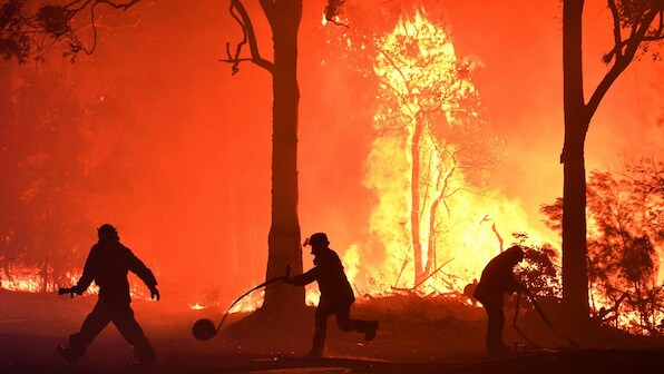 Australia's wildfires undo decades of conservation work done on Kangaroo island