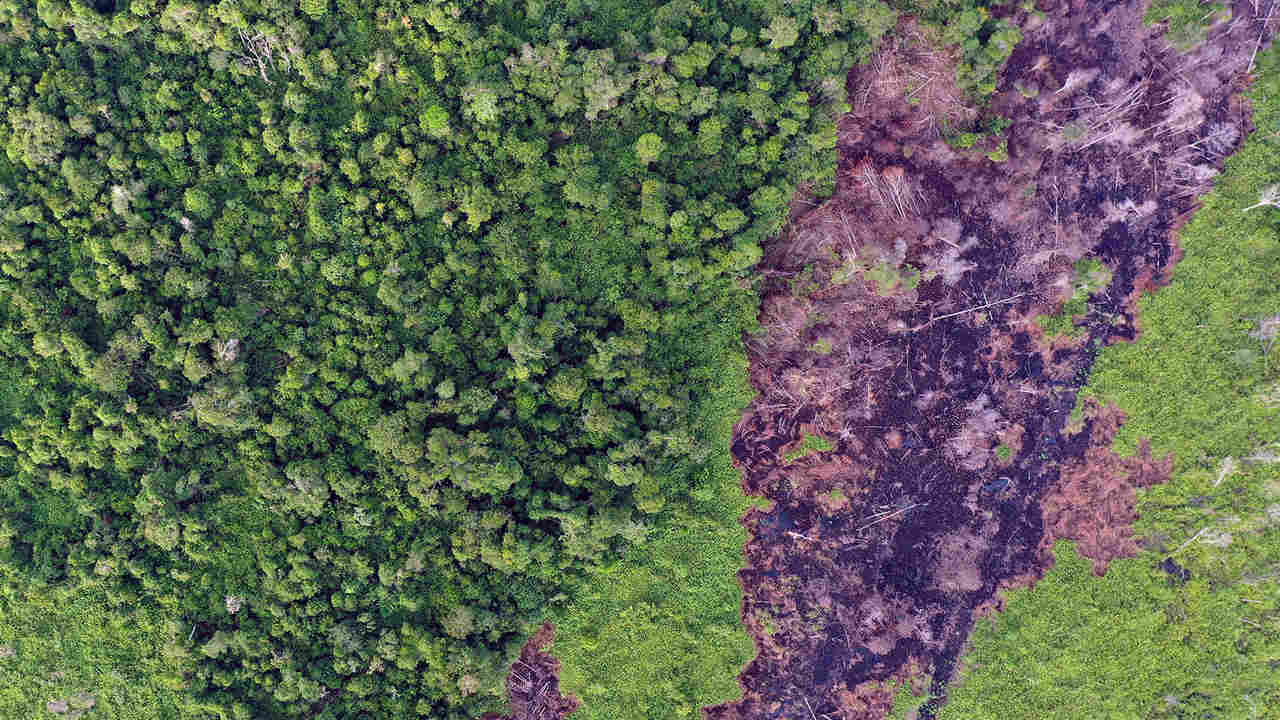 kalbar_drone_190111