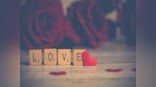 Not really a matter of the heart: The science behind love and attraction