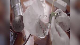 What if we told you, a vehicle could purify air instead of polluting it?