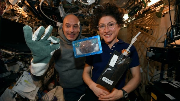 Space cookies, mighty mice hitch ride to Earth aboard SpaceX's capsule, from the ISS