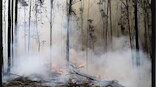 Wildfires aftermath: Drinking water sources contaminated with ash, debris, pollutants