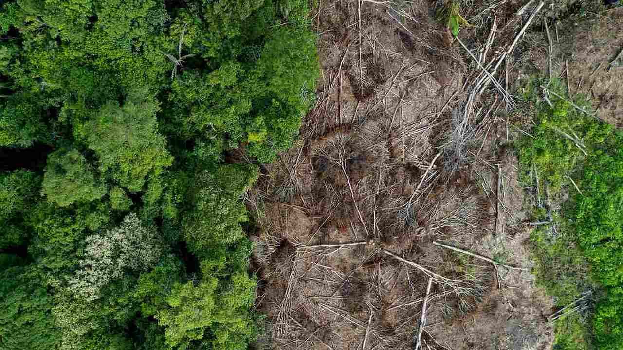 Deforestation in Kapuas Hulu, Indonesian Borneo. Image credit: Rhett A. Butler.