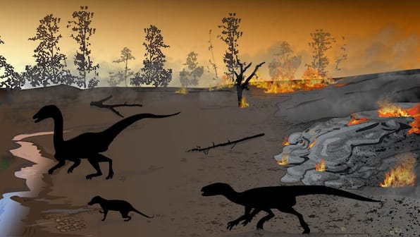 Fossil footprints in South Africa show dinosaurs lived in land of fire, 183 million years ago