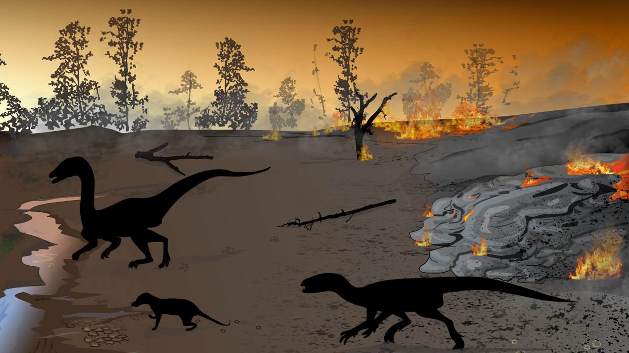 Fossil footprints in South Africa show dinosaurs lived in land of fire, 183 million years ago Fossil footprints in South Africa show dinosaurs lived in land of fire, 183 million years ago