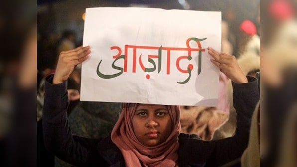Leftover ultras, Insta revolutionaries and the 'handlers': Three species of protesters at the ongoing Shaheen Bagh protest