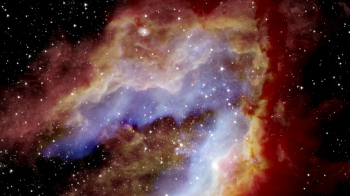 Airborne observatory SOFIA sheds light on the evolution of Swan nebula