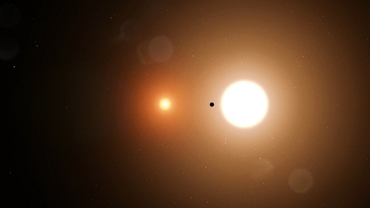 NASA intern Wolf Cukier helps TESS find an exoplanet, TOI 1338 b, orbiting two stars