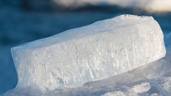 Microbes found thriving in near-freezing temperatures, with oil and saltwater for food