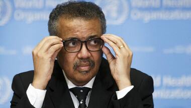 Too early to tell if decline in coronavirus cases will continue, every scenario still on the table: WHO