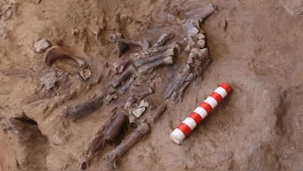 Fossil rich Iraqi cave hints at Neanderthals having flower burials for their dead