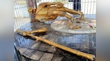 Statue of Mahatma Gandhi damaged in Jharkhand's Hazaribag by unidentified miscreants, say police