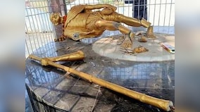 Statue of Mahatma Gandhi damaged in Jharkhand's Hazaribag by unidentified miscreants, say police