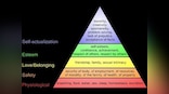 The problem with 'do what you love': The perils of allowing Maslow's hierarchy of needs, self-actualisation to shape careers