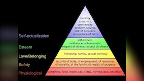 The problem with 'do what you love': The perils of allowing Maslow's hierarchy of needs, self-actualisation to shape careers