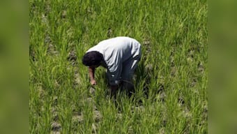 Budget 2020: Unless Centre gets states to enact model laws, farm investment and incomes cannot rise