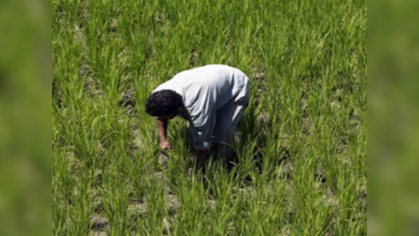Budget 2020: Unless Centre gets states to enact model laws, farm investment and incomes cannot rise