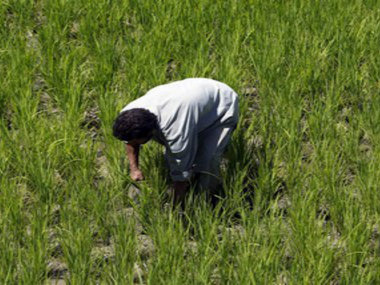 Budget 2020: Unless Centre gets states to enact model laws, farm investment and incomes cannot rise Budget 2020: Unless Centre gets states to enact model laws, farm investment and incomes cannot rise