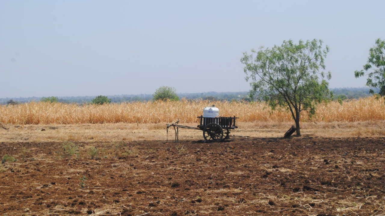 With recurrent droughts, dry fields like this has become a common sight in the Marathwada region of Maharashtra. Image credit: Meena Menon.