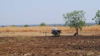 Green economics is robust enough for policy makers to assess impact of their decisions: Pavan Sukhdev
