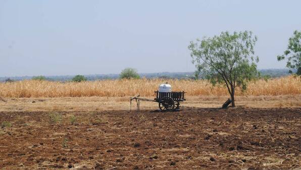 Green economics is robust enough for policy makers to assess impact of their decisions: Pavan Sukhdev