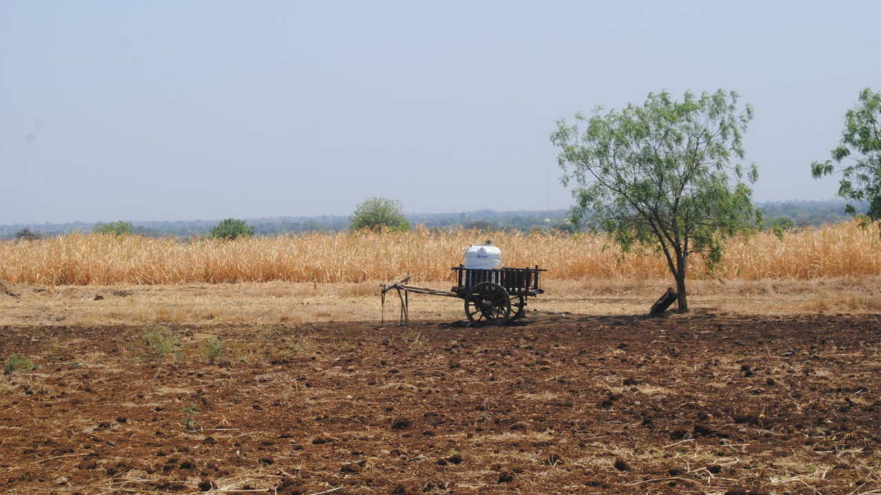 Green economics is robust enough for policy makers to assess impact of their decisions: Pavan Sukhdev Green economics is robust enough for policy makers to assess impact of their decisions: Pavan Sukhdev