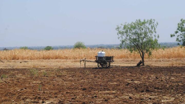 Green economics is robust enough for policy makers to assess impact of their decisions: Pavan Sukhdev