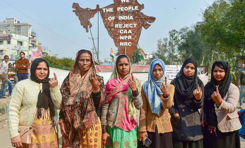Protesters show their ink-marked fingers after casting votes for the Delhi Assembly elections. PTI