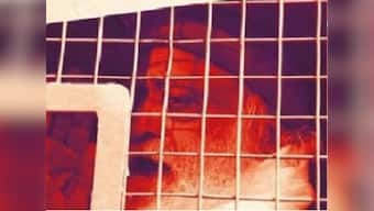 God of Sin: Read excerpt from Ushinor Majumdar's book which documents rise and fall of Asaram Bapu