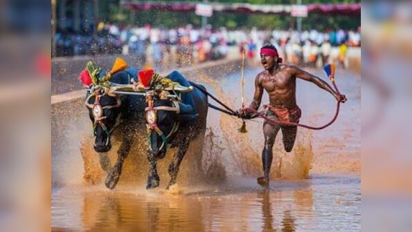 Internet-famous kambala jockey Srinivas Gowda refuses to undergo trials in SAI Bengaluru