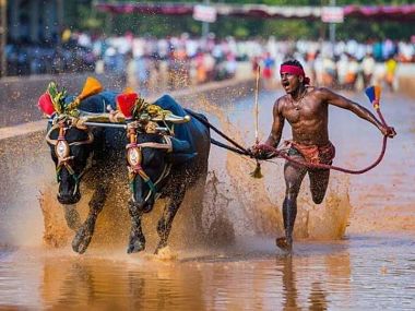 Kambala racer Srinivas Gowda's trial date yet to be fixed, to be given time for acclimatisation, say SAI sources Kambala racer Srinivas Gowda's trial date yet to be fixed, to be given time for acclimatisation, say SAI sources