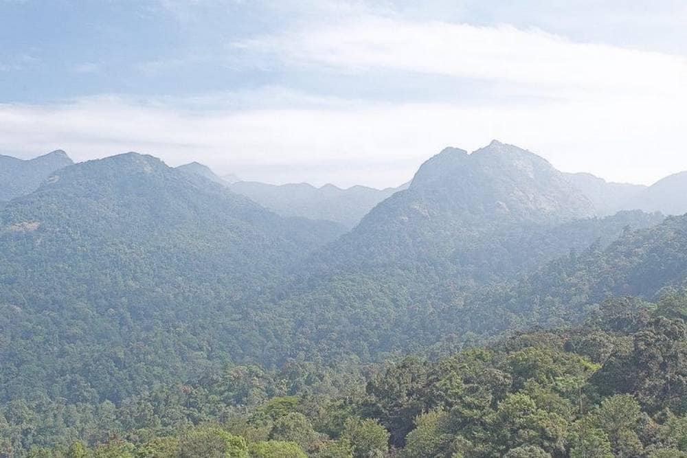 The forests of Silent Valley. The then prime minister of India, Indira Gandhi, ordered cancellation of a hydroelectric project to conserve this rainforest tract. Environmental economics allows policy makers to take the right decisions by factoring in the economic value of conservation. Image credit: S. Gopikrishna Warrier/Mongabay.