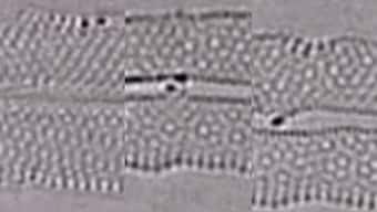 Watch: First-ever recording of a pair of atoms forming, breaking chemical bonds